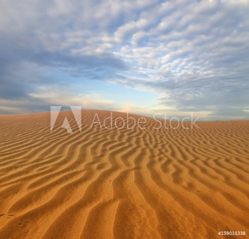 Picture of Sand dunes